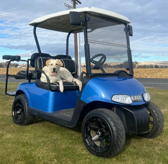 Blue golf cart with a golden retriever