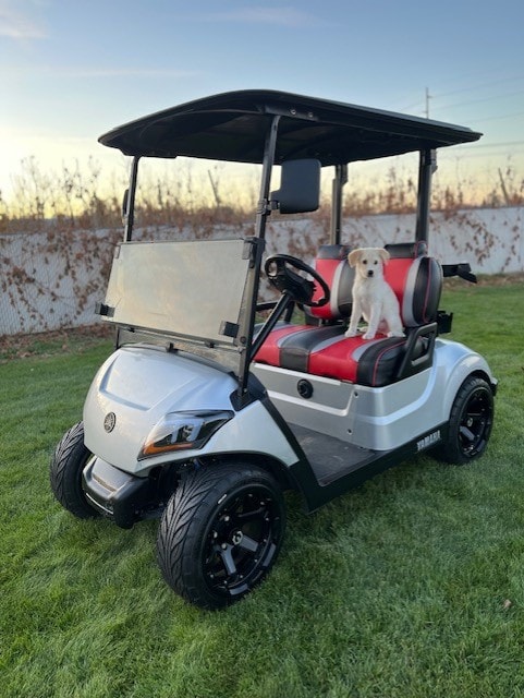 Puppy sitting in a golf cart on grass